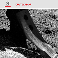 Bellota Catalogue