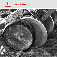 Bellota Catalogue