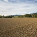 Bodenbearbeitung